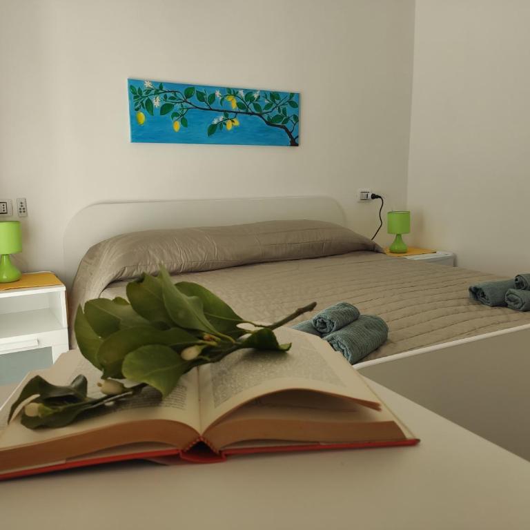 Casta Diva Holiday Rooms - Apartment - 69