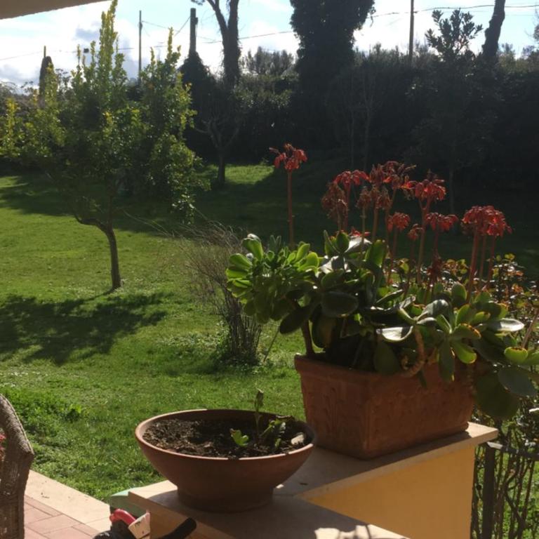 Villa Bel Lago - Villa Deluxe - 46