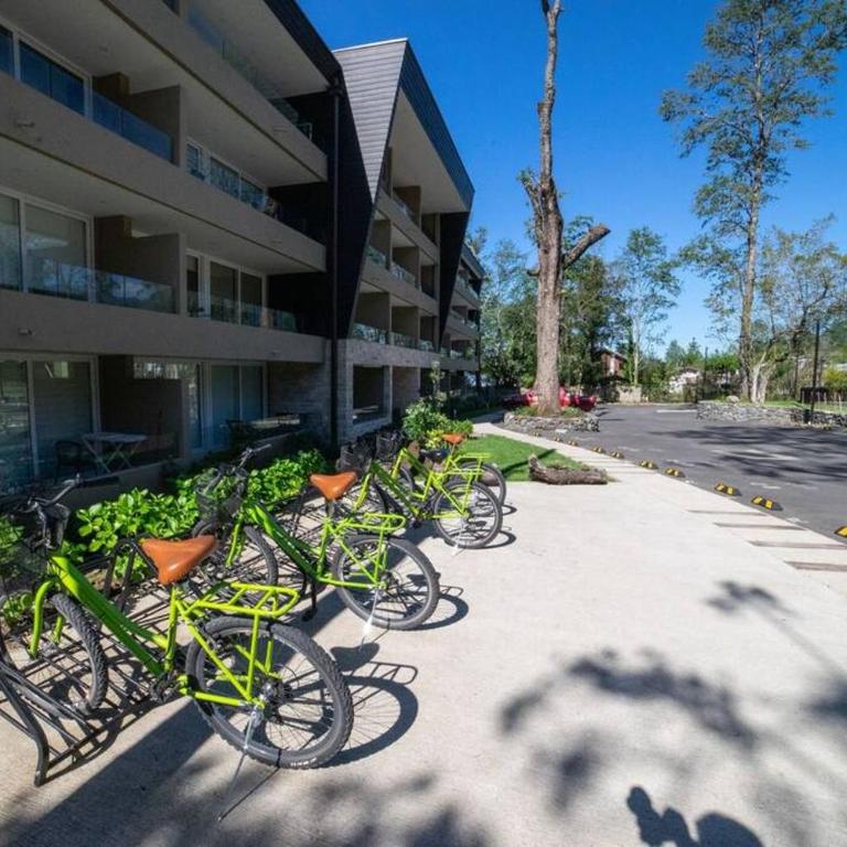 Departamento ALTA Vista Pucon - Two-Bedroom Apartment - 7