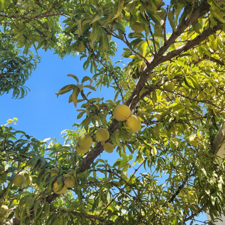 Casa de Haydee - One-Bedroom Apartment - 46