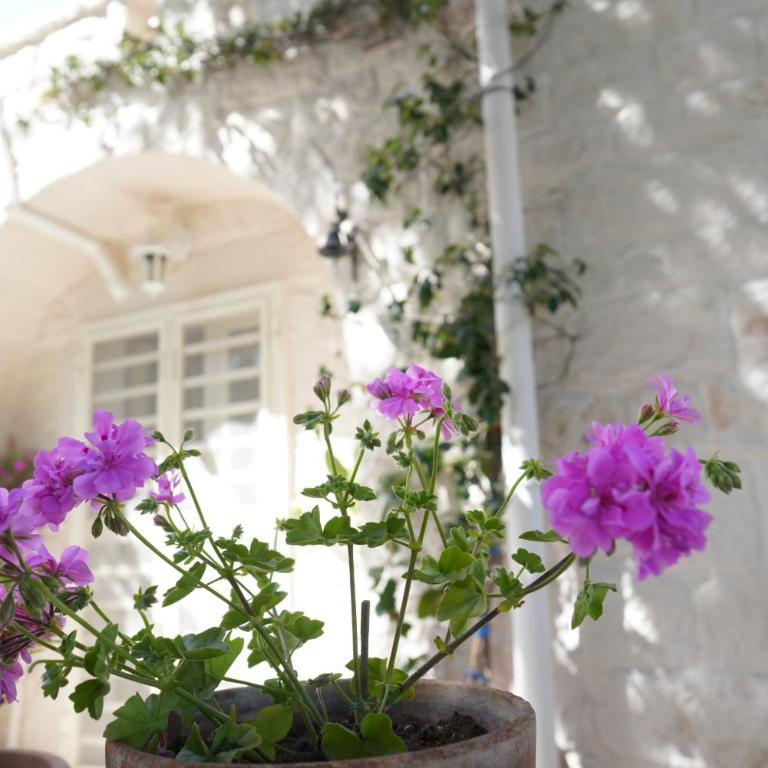 Trulli di Puglia - Casa vacanze in Valle d'Itria - Casa Vacanze - 10
