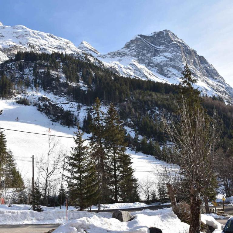 Chalet spacieux près de la forêt avec parking privé - FR-1-464-176 - Chalet de 3 dormitorios - 14