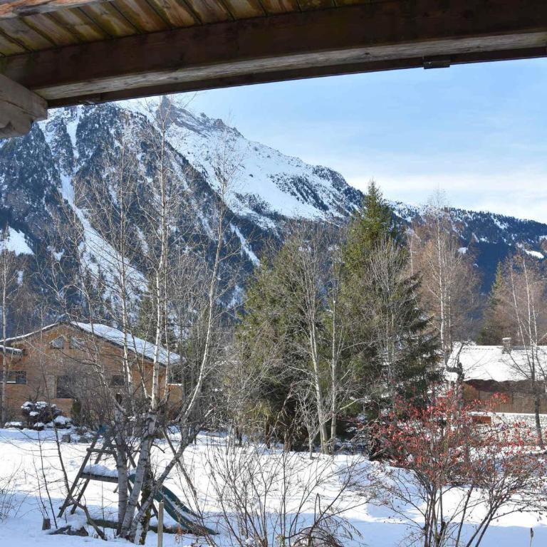 Charmant rez-de-jardin dans chalet avec parking et animaux admis - FR-1-464-170 - Appartamento con 2 Camere da Letto - 9