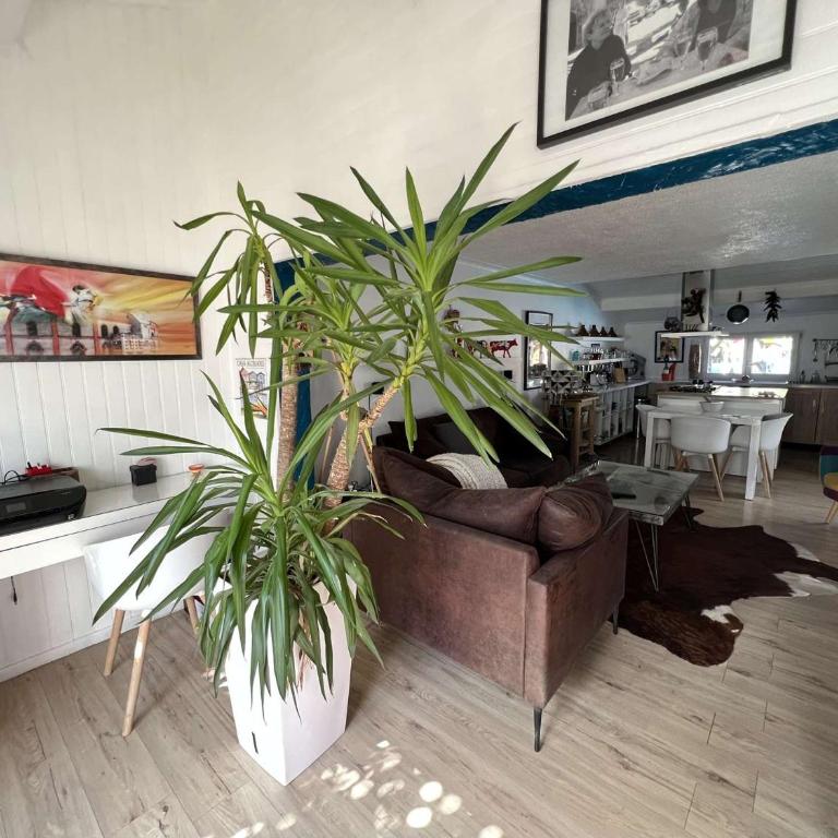 Maison avec Piscine Privée, Proche Plage et Commerces, Jardin et Terrasse, 6 Pers - FR-1-701-61 - Casa - 10