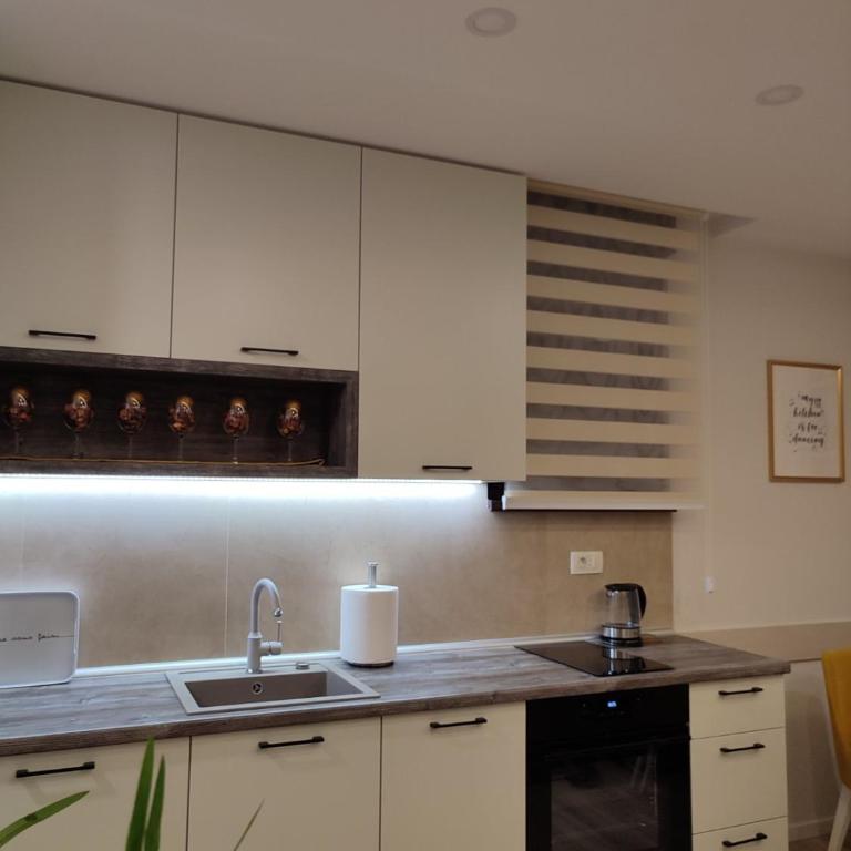 Zlatibor GOLD - Apartman sa 1 Spavaćom Sobom - 7