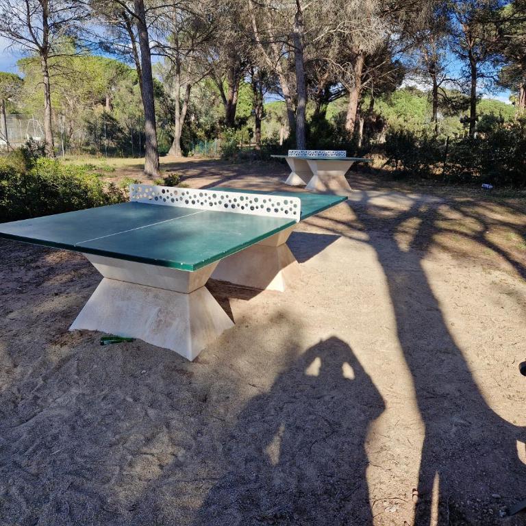 Grand T3 - Terrasse les pieds dans l'eau - Climatisation - Apartamento de 2 dormitorios - 18