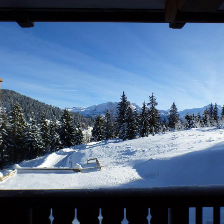Appartement 5 pièces pour 8 pers. aux Saisies - Apartment mit 4 Schlafzimmern - 8