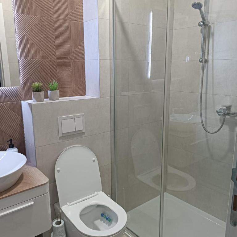 Apartman Vista Banja Luka - Apartman sa 1 Spavaćom Sobom - 17