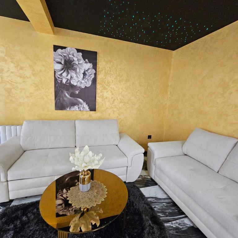 Andjela Lux - Apartman sa 1 Spavaćom Sobom - 6