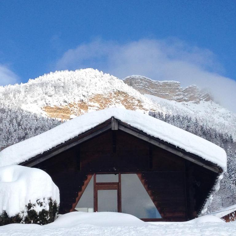 Le Petit Skieur B&B - Chalet Supérieur - 17
