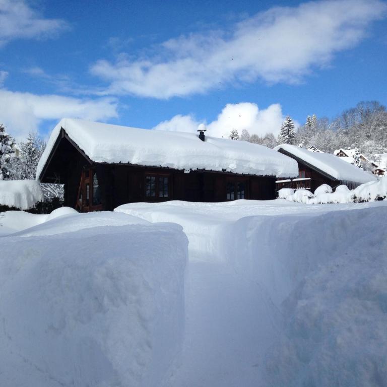 Le Petit Skieur B&B - Chalet Supérieur - 16