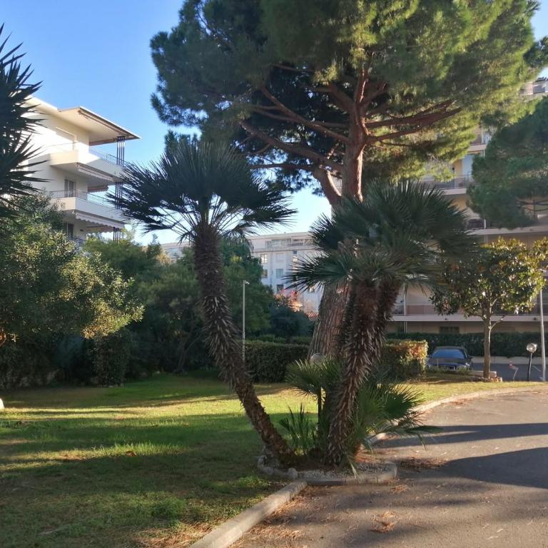 Résidence Côte d'Azur Cannes - Appartement 1 Chambre - 48