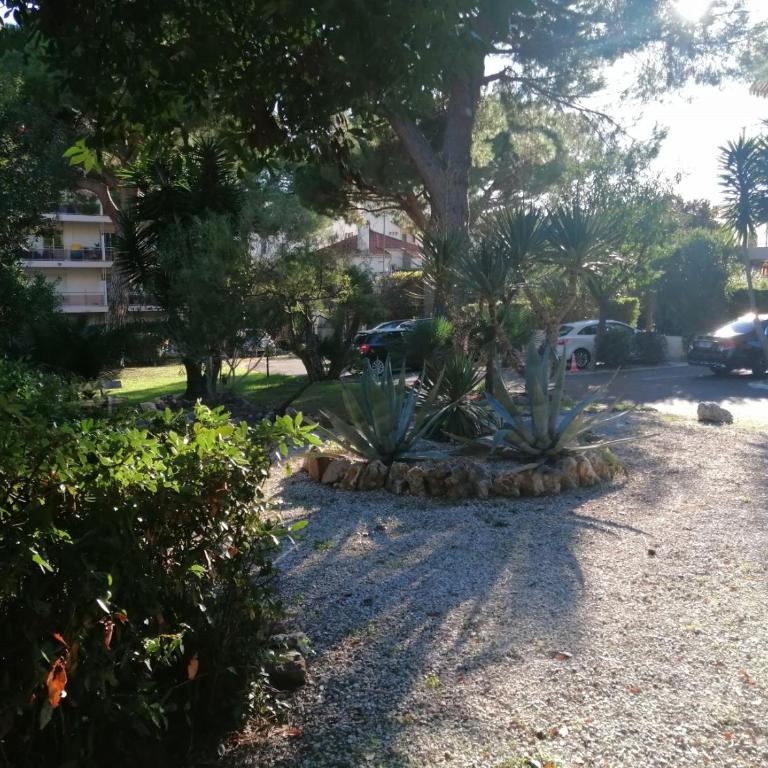 Résidence Côte d'Azur Cannes - Appartement 1 Chambre - 53