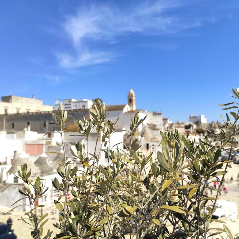 Noù la tua casa in Puglia - Camera Matrimoniale con Vista Parco - 6