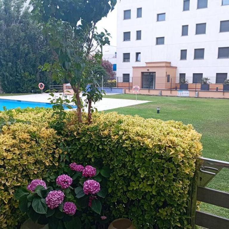 Apartamento en primera linea de Mar - Two-Bedroom Apartment - 6