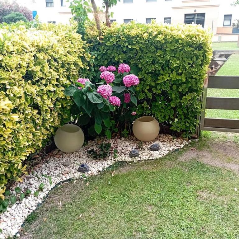Apartamento en primera linea de Mar - Two-Bedroom Apartment - 7