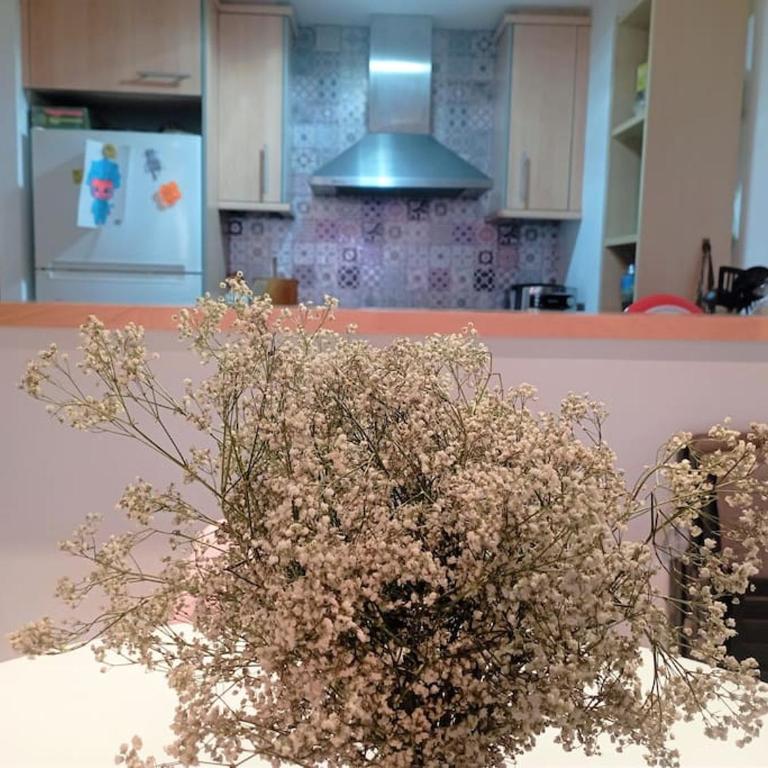 Apartamento en primera linea de Mar - Two-Bedroom Apartment - 23