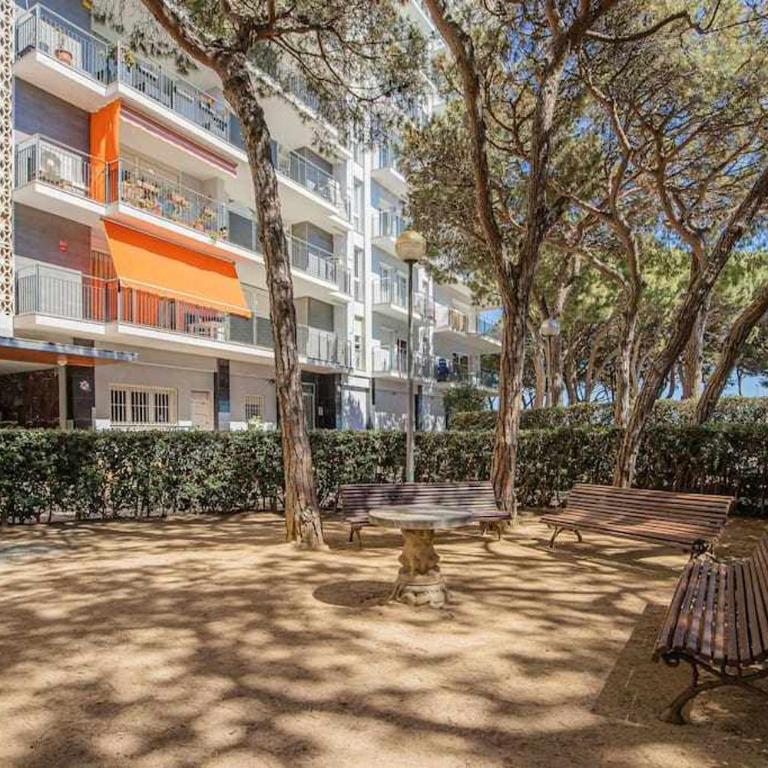 Apartamento Condal - Apartamento de 3 dormitorios - 32