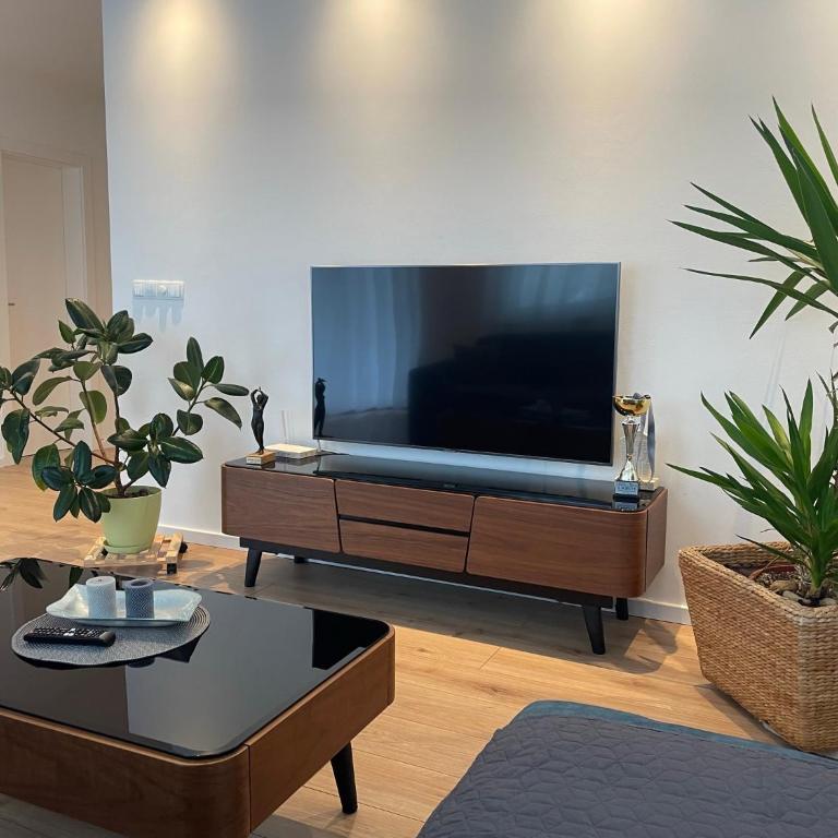 Beautiful modern apartment with large livingroom - Two-Bedroom Apartment - 4