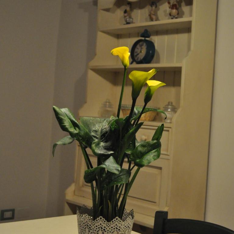 Buonincontro Apartment - Vacation Home - 25
