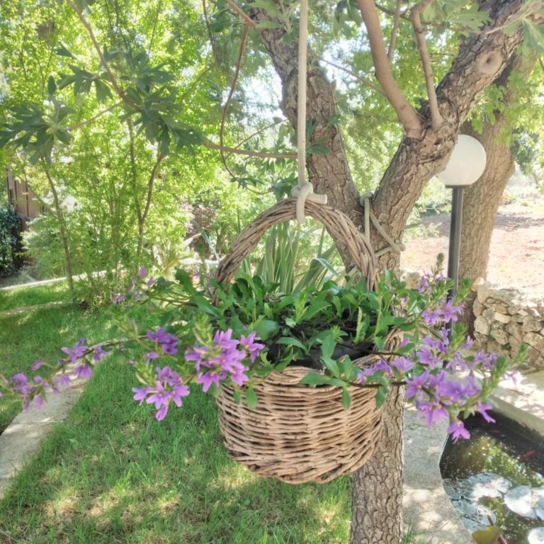 Il trullo felice - Casa con 2 Camere da Letto - 21