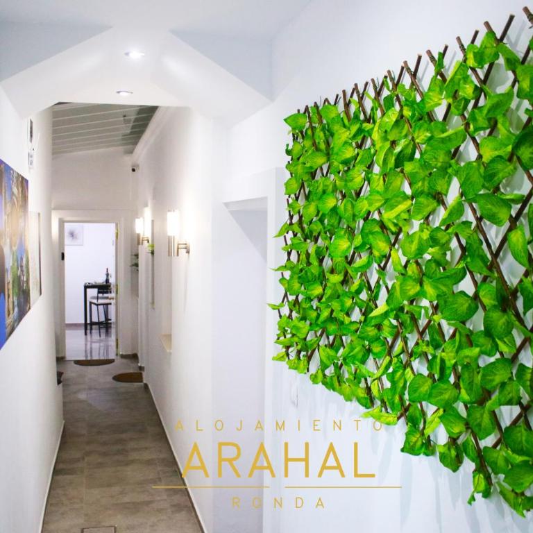ALOJAMIENTO ARAHAL - RONDA - Apartamento - Planta baja - 2