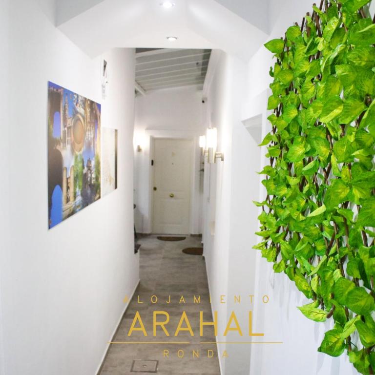 ALOJAMIENTO ARAHAL - RONDA - Apartamento - Planta baja - 12