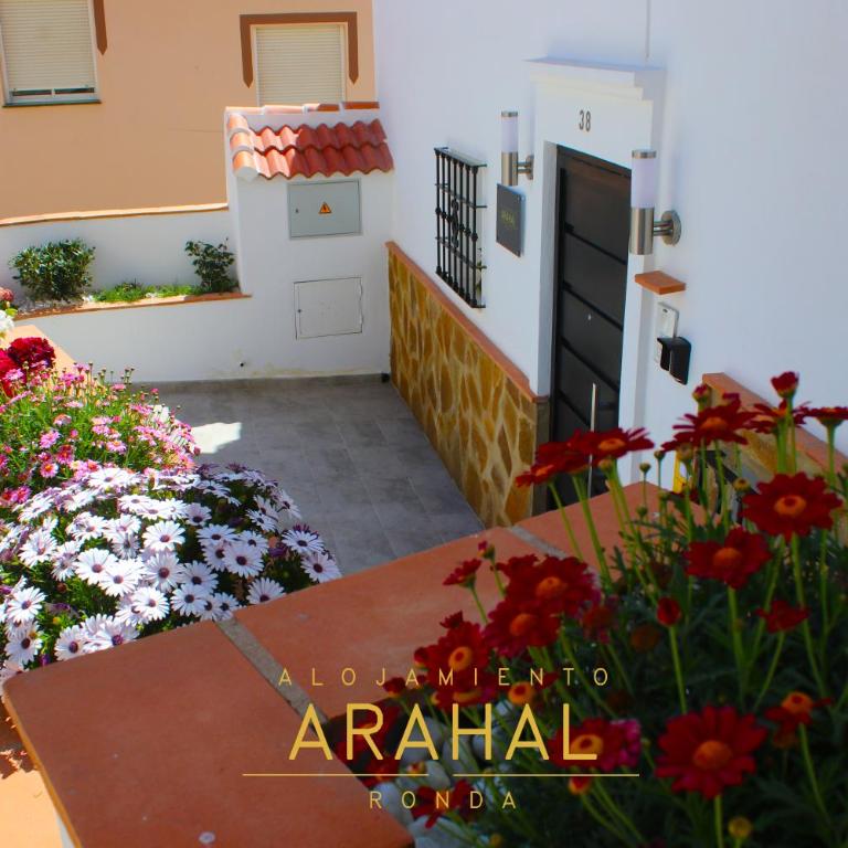 ALOJAMIENTO ARAHAL - RONDA - Apartamento - Planta baja - 7