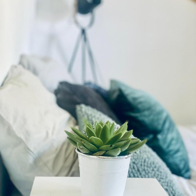 Le Studio - One-Bedroom Apartment - 5