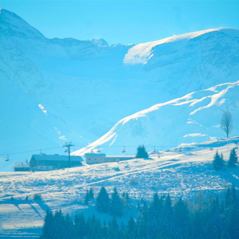 Apartment Igor - by Alpen Apartments - Superior Apartment mit Sauna - 15