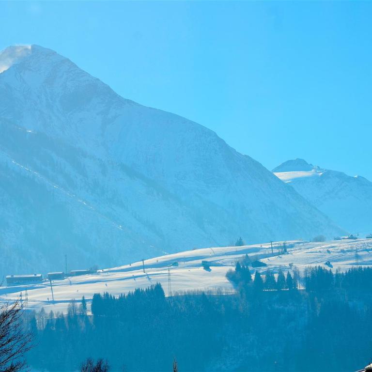Apartment Igor - by Alpen Apartments - Superior Apartment mit Sauna - 16