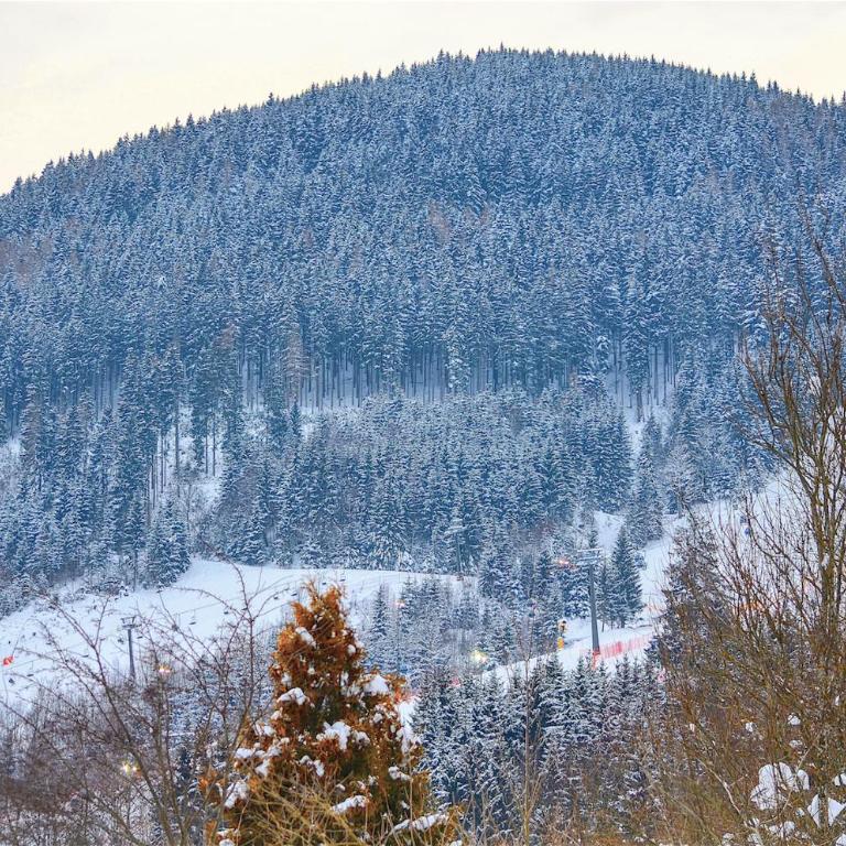 Apartment Konstanzia - by Alpen Apartments - Apartment mit Seeblick - 22