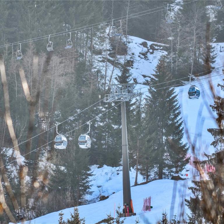 Apartment Konstanzia - by Alpen Apartments - Apartment mit Seeblick - 24