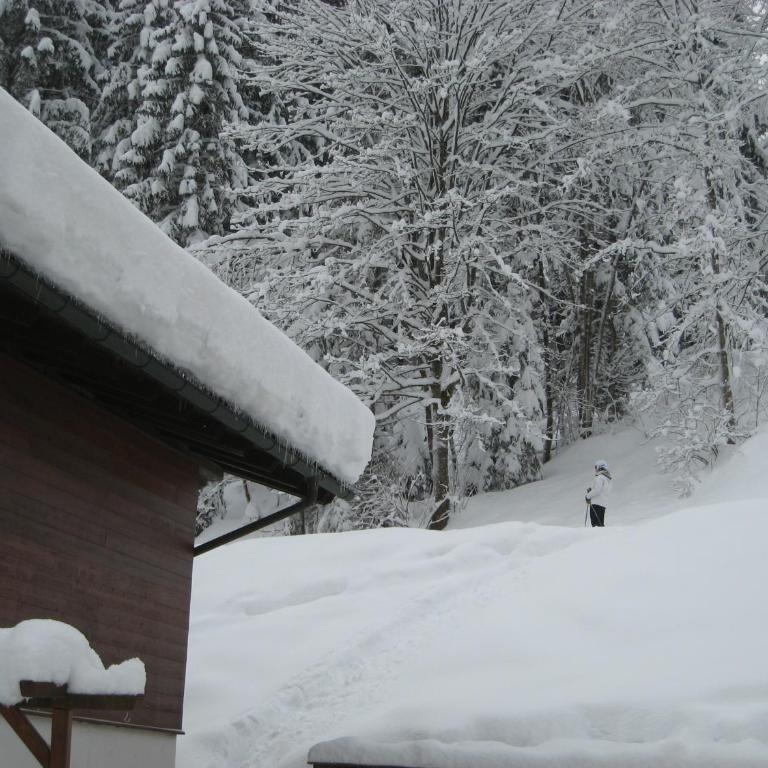Ski-in Ski-out Chalet Kriekels - by Alpen Apartments - Ferienhaus - 11