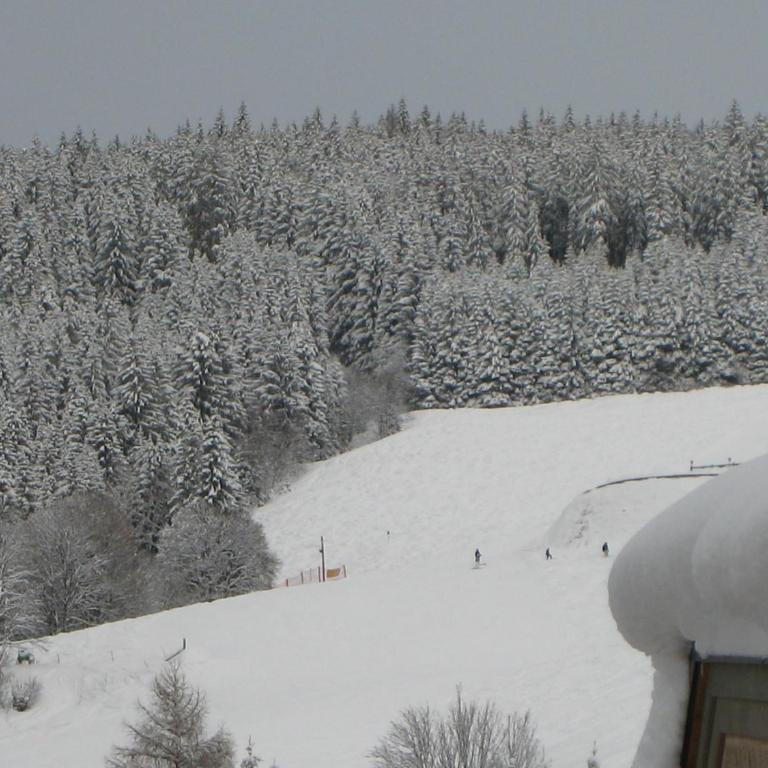 Ski-in Ski-out Chalet Kriekels - by Alpen Apartments - Ferienhaus - 13