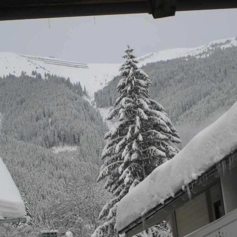Ski-in Ski-out Chalet Kriekels - by Alpen Apartments - Ferienhaus - 16