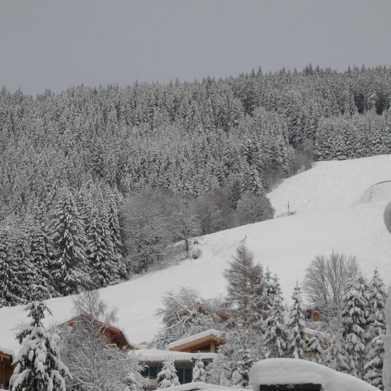 Ski-in Ski-out Chalet Kriekels - by Alpen Apartments - Ferienhaus - 14