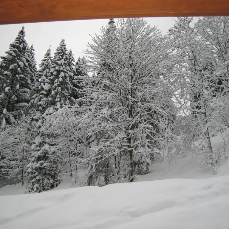 Ski-in Ski-out Chalet Kriekels - by Alpen Apartments - Ferienhaus - 44