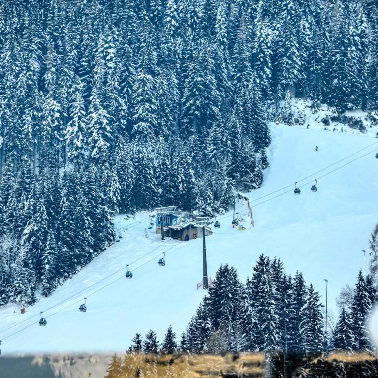 Mountain Joy - by Alpen Apartments - Apartamento con vistas al lago - 3