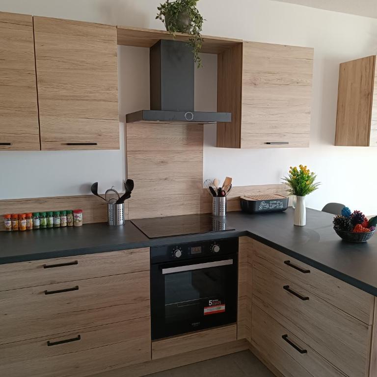 Mimizan Apt neuf 80m2 +terrasse 100m plage - Appartement 3 Chambres - 4