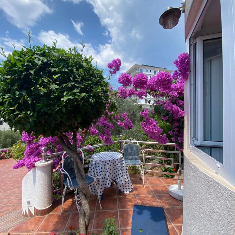 Apartmani IVA Bečići - Apartman - Prizemlje - 4