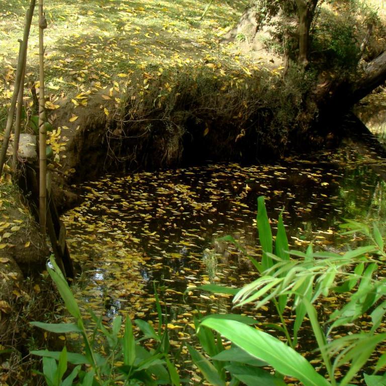 Cabaña La Paz - Apartamento de 1 dormitorio - 43