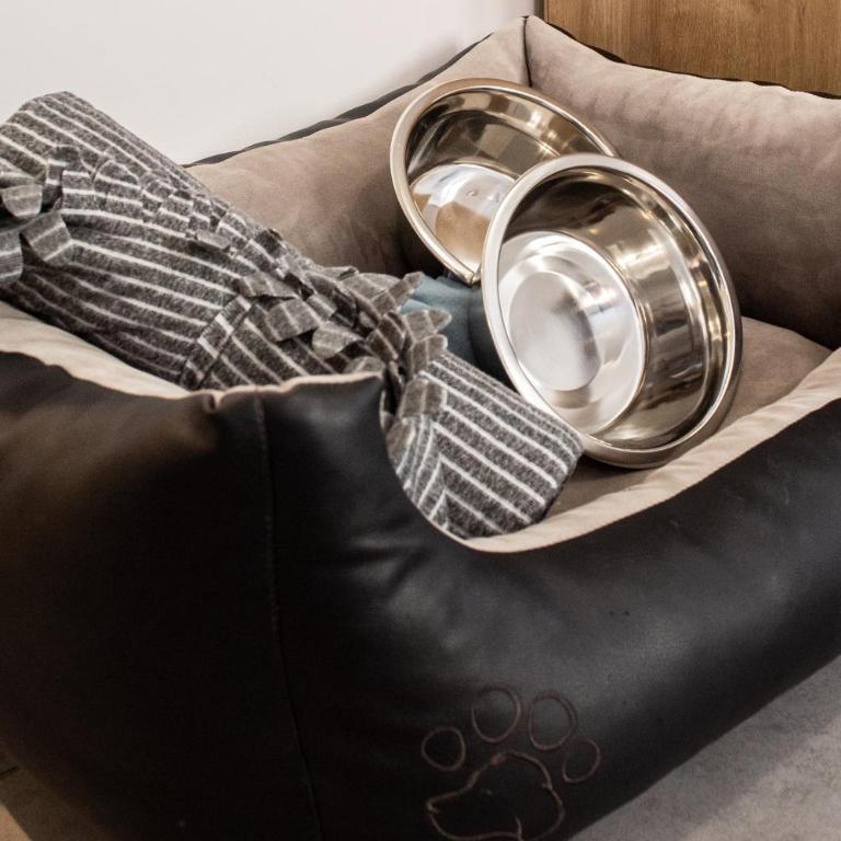 Au coeur de Perpignan - Apartment mit 1 Schlafzimmer - 15