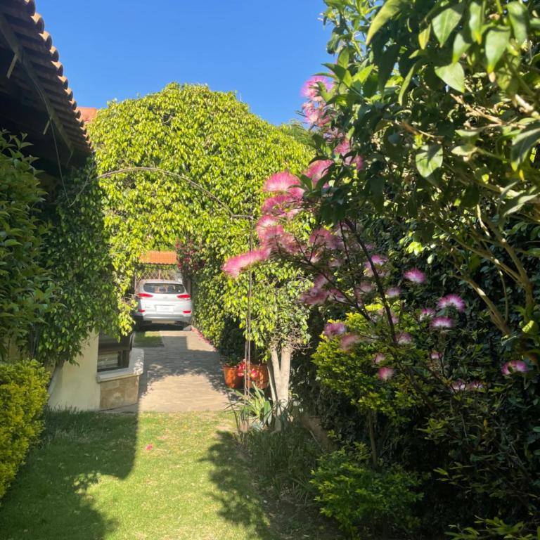 Apartamento Standard - Apartamento de 1 dormitorio - 2