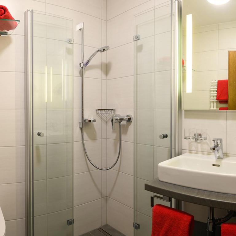 Haus Rainer - Appartamento con Balcone e Terrazza - 12
