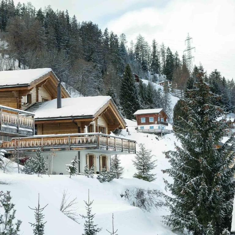 Chalet le Grand Ours - Chalet - 33