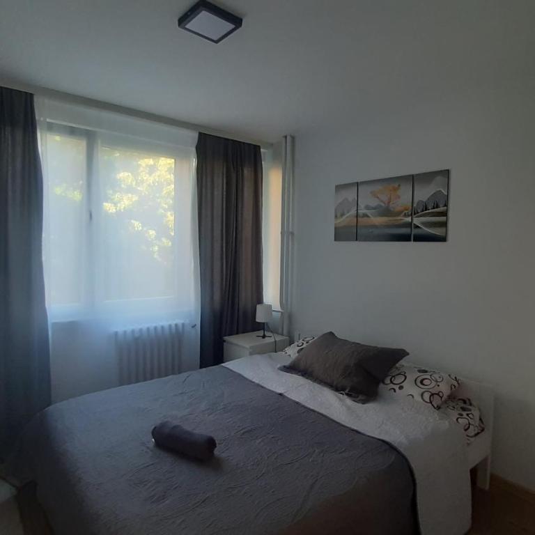 SUNSHINE Apartment - Two-Bedroom Apartment - 24