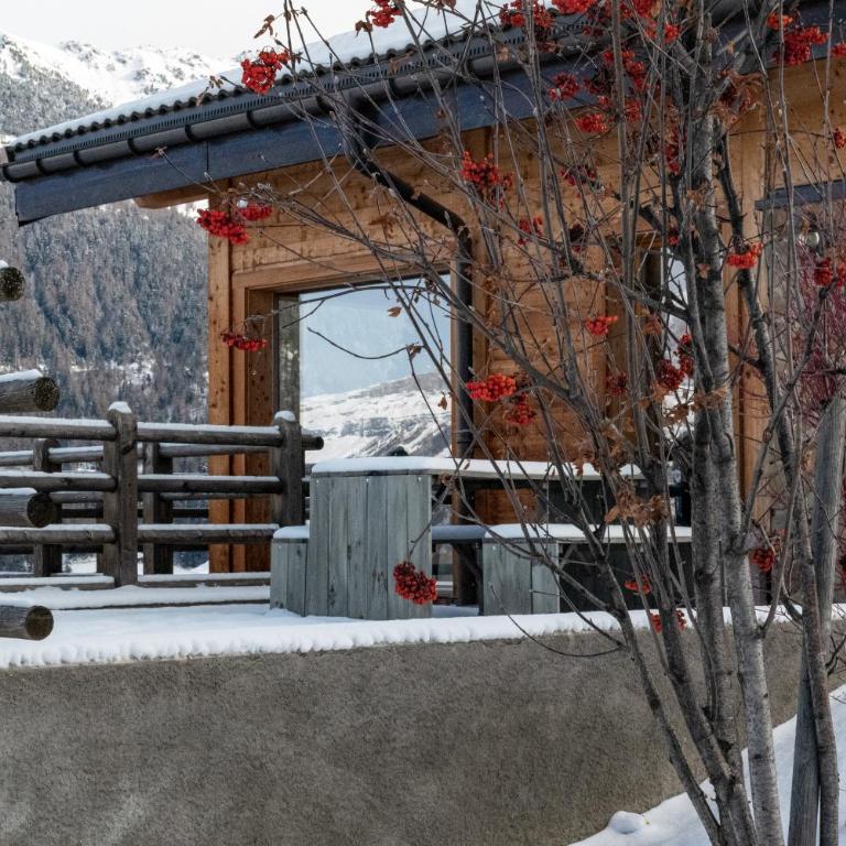 Chalet Inchalat - Chalet - 19