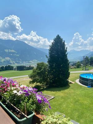 Ferienwohnung Birkenheim - Apartment mit Dusche - 29