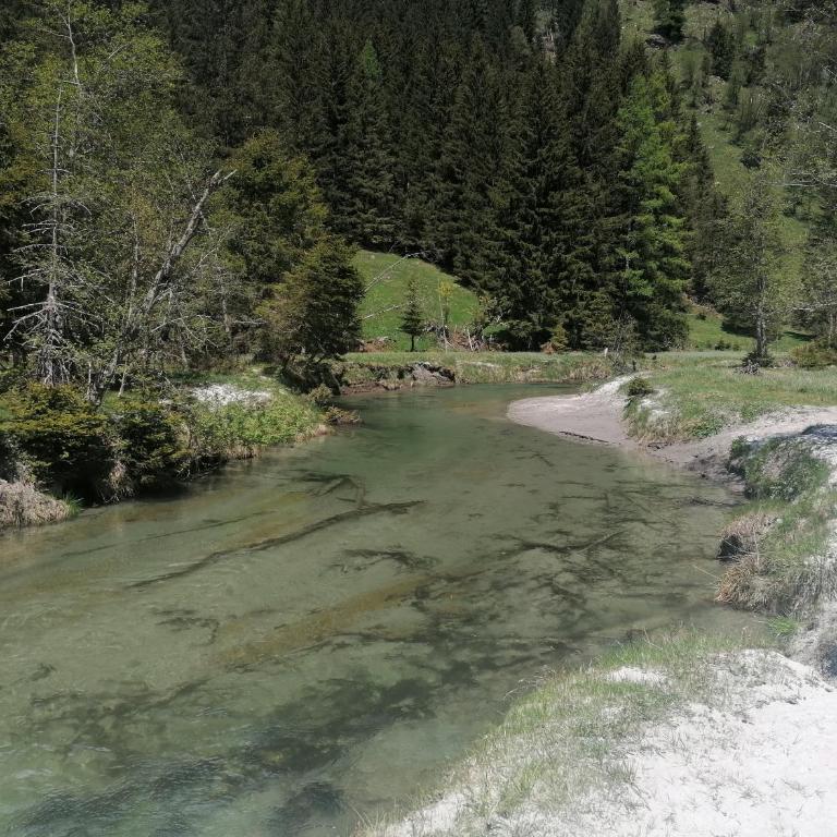 BergAufe Chalets Mallnitz Winter-Summer Benefits Many Extras Included - Chalet mit 3 Schlafzimmern - 36